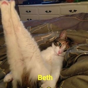 Meet your Posher, Beth